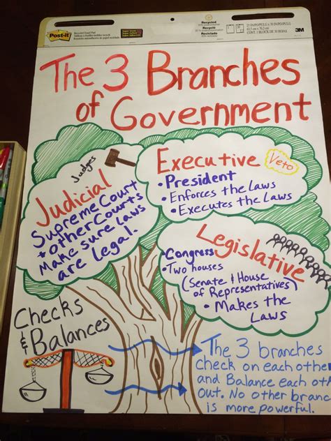 anchor chart   branches  government  grade lesson