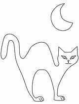 Halloween Cat Coloring Pages Outline Cats Scary Drawing Tissue Moon Color Paper Template Kids Printable Sheets Print Animal Drawings Colouring sketch template