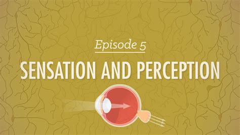 Crash Course Psychology 5 Sensation And Perception The