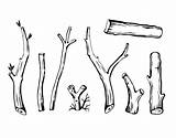 Sticks Twigs Tree Sketch Set Symbols Svg Templates sketch template
