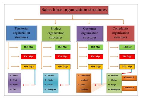 sales force organization structure image