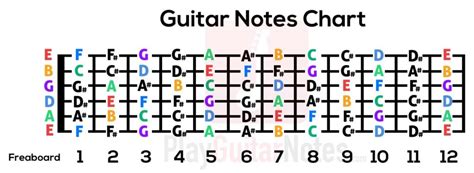 guitar notes chart  beginners