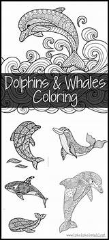 Whales Dolphins Dolphin sketch template