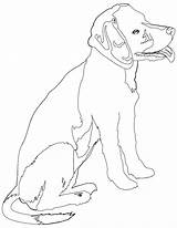 Coloring Pages Rottweiler Beagle Puppy Printable Beagles Realistic Russell Jack Color Dog Print Line Animals Terrier Drawing Getdrawings Getcolorings Library sketch template