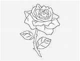 Roses Pngkit sketch template