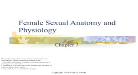 Free Download Female Sexual Anatomy And Physiology Powerpoint
