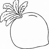 Radish Coloring Pages Supercoloring Color Radishes Printable Kaynak sketch template