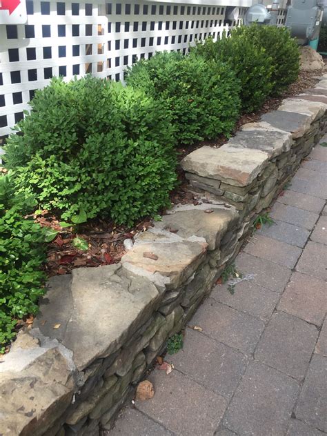 boxwoods  stone   deck sidewalk landscape stone