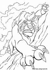 Simba Coloring Pages Baby Getcolorings Printable sketch template