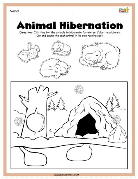 animals  hibernate coloring pages neduvaali