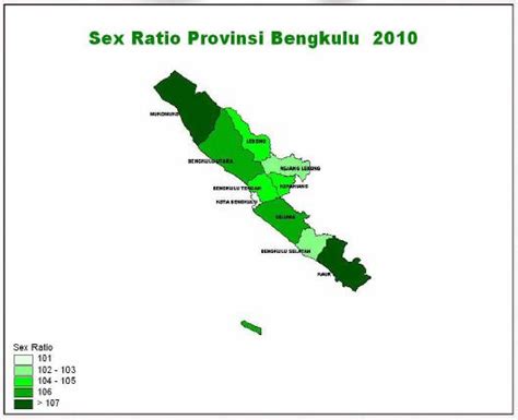 Indonesia Population Demographics March 2011