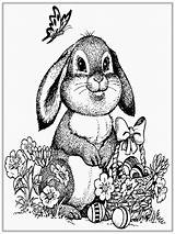 Pages Adults Coloring Rabbit Katarzyna Printable Getcolorings Color sketch template