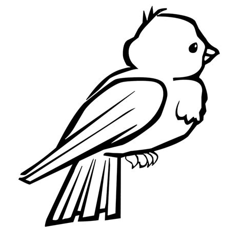 bird coloring pages coloringkidsorg