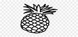 Nanas Buah Pineapple Menggambar sketch template