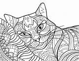 Colorit Sample Freebie Kittens Wildcats Cats Print Drawings Premium Button Sure Below Today Make Click sketch template