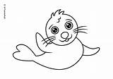 Coloring Letsdrawkids Kids Pages Baby Draw Seal Drawing Easy Let Step sketch template