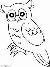 Outline Coloringall Owls sketch template