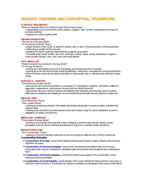 nursing theories  conceptual framework nursing system