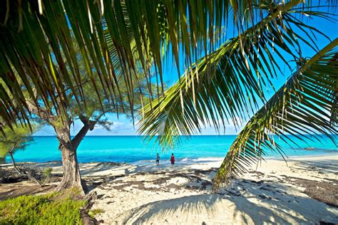 discover unforgettable     bimini bahamas cruise fever
