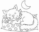 Cat Sleeping Coloring Pages Night Mouse 491f Printable Color Getcolorings Cats Sheet Print Colori sketch template
