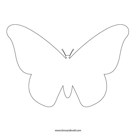 butterfly template tims printables