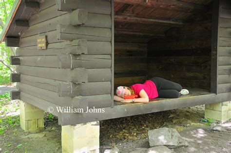 appalachian trail pa section 14 deer lick shelter william johns flickr