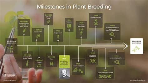 agriculture knowledge history  plant breeding