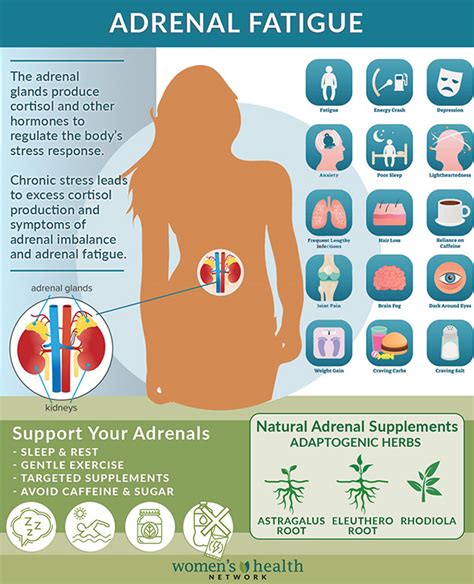 Adrenal Fatigue Symptoms Causes And Treatments Womens Health Network