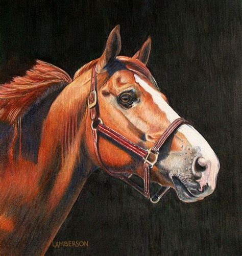 horse  colored pencil original artwork horse art horse drawings