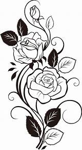 Rose Pages Coloring Vine Tattoo Roses Choose Board Pattern Vines sketch template