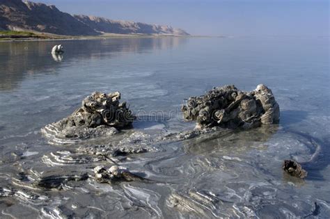dead sea mud mineral stock photo image  landscape