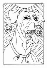 Bark Dogs Template Pdf Jpeg sketch template