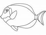 Fish Coloring Tang Pages Yellow Tangs Drawing Printable sketch template
