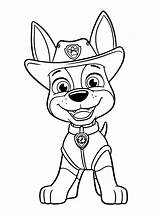 Paw Patrol Coloring Pages Tracker Para Colorare Da Disegni Pintar Members Last Colorear Immagini Drawing Pages2color Patrulla Canina Per Getcolorings sketch template