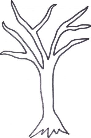 bare tree printable template coloring pages  kids   adults