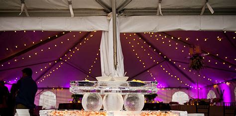 tent gutter  lin ft professional party rentals