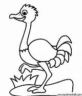 Coloring Pages Ostrich Kids Preschool Animal Kindergarten Preschoolcrafts Other Click Colouring Choose Board sketch template