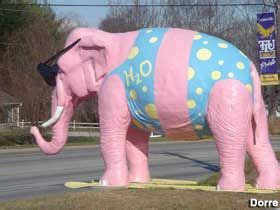 tn cookville pink elephant elephant pink elephant pink