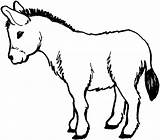 Mule Donkey sketch template