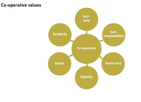 operative identity values  principles   op federation