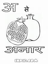 Alphabets Letter Anar Punjabi Indif sketch template