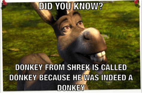 funny shrek memes  true ogres  donkeys fandomspot