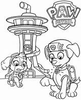 Coloring Pages Patrol Paw Zuma Skye Kit Printable Lookout Template sketch template