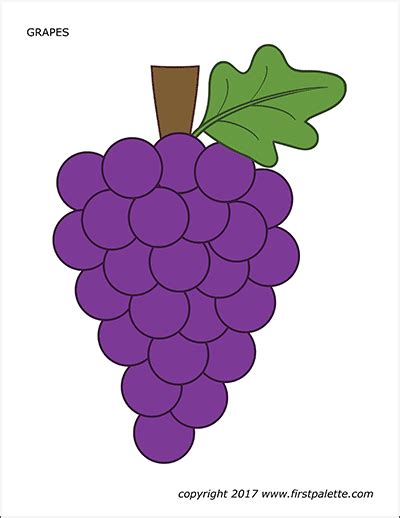 simple grapes coloring page  search