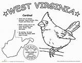 Virginia West State Worksheets Bird Printable Coloring Science Choose Board Worksheet Embroidery Wv Life sketch template