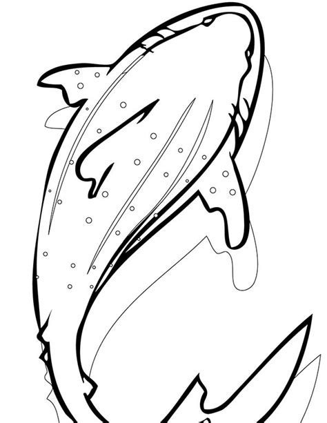 whale shark coloring pages kalugafoto