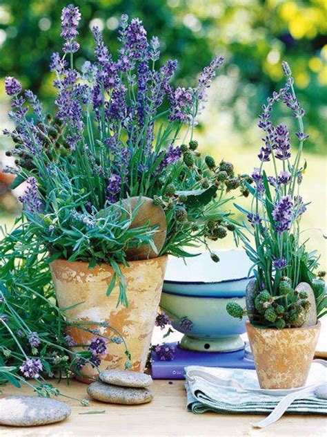 garden wedding garden tablescapes  lavender potted plant