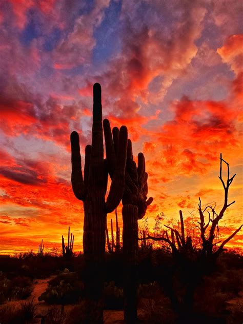 beauty   sunset   american desert     favorite
