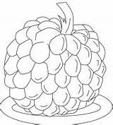 Coloring Custard Apple Pages Plate Ones Little Top sketch template