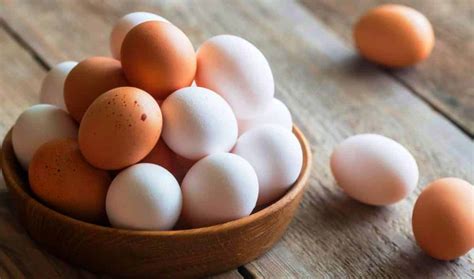 diyetasistan yumurtanin iyisi nasil anlasilir  basit yolu